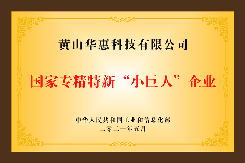 國家專(zhuān)精特新小巨人企業(yè)